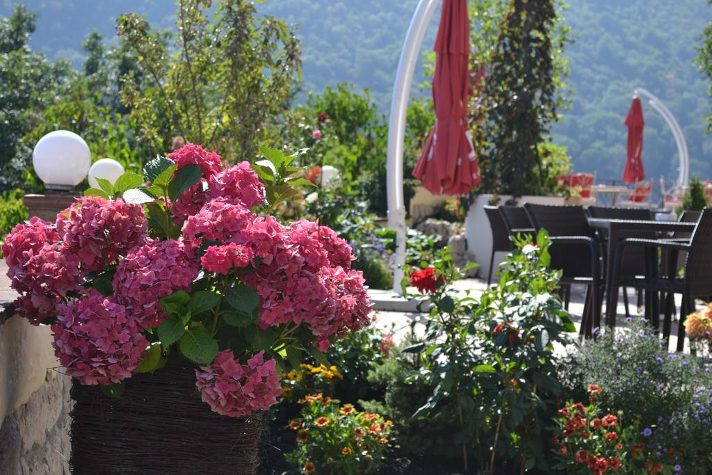 Pensiunea Casa Cranta Brasov Bagian luar foto